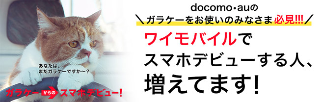 2人で月額料金4,388円の妻と私のスマホプラン